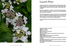 Load image into Gallery viewer, Hydrangeas: Beautiful Varieties For Your Home And Garden