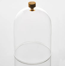 Load image into Gallery viewer, Glass Cloche with Brass Handle