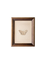 Load image into Gallery viewer, Butterfly Study Wall Art