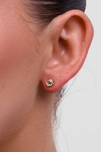 Load image into Gallery viewer, Petite Fable Earring