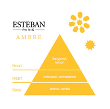 Load image into Gallery viewer, Esteban Incense | Ambre