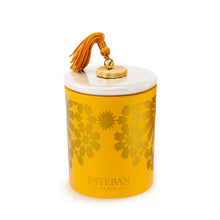 Load image into Gallery viewer, Esteban Candle | Ambre