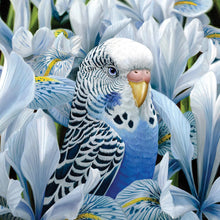 Load image into Gallery viewer, Mini Card Sheila Ann