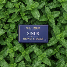 Load image into Gallery viewer, Sinus Shower Steamer