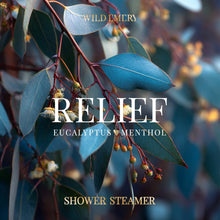 Load image into Gallery viewer, Relief Shower Steamer