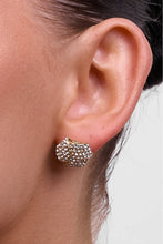 Load image into Gallery viewer, Natalina Gold Crystal Earring