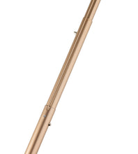 Load image into Gallery viewer, Leopard Micro-Umbrella | Aime