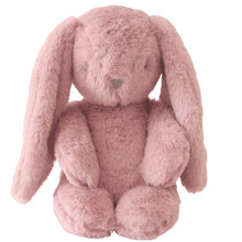Load image into Gallery viewer, Darcey Plush Baby Bunny | Petal