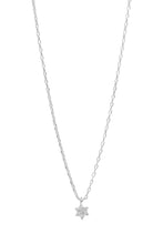 Load image into Gallery viewer, Petal Necklace | Silver