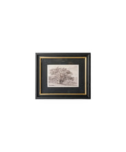 Load image into Gallery viewer, Oak Tree Pencil Wall Art