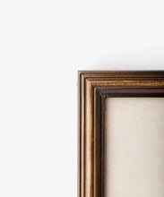 Load image into Gallery viewer, Vintage Poplar Tree Sketch Wall Art