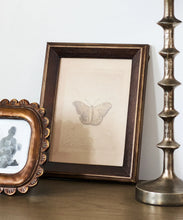 Load image into Gallery viewer, Butterfly Study Wall Art