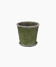 Load image into Gallery viewer, Evergreen Plant Pot &amp; Saucer