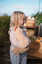 Load image into Gallery viewer, Harriet the Hen | Honey