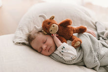 Load image into Gallery viewer, Henry The Highland Cow Rattle