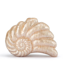 Load image into Gallery viewer, Indi Acrylic Shell Clutch | Natural